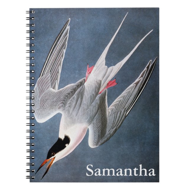 Audubon: Roseate Tern Notebook (Front)
