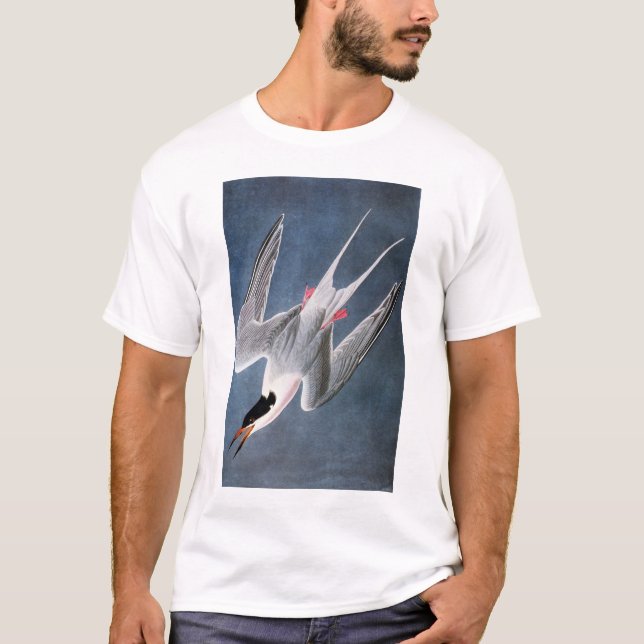 Audubon: Roseate Tern T-Shirt (Front)