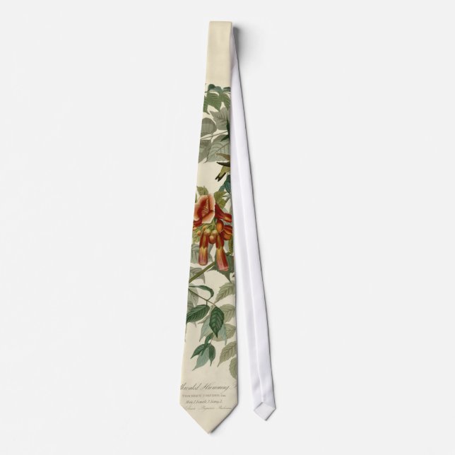 Audubon Ruby Throated Hummingbirds Tie (Front)