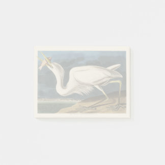 Audubon’s Great White Heron Wildlife Painting Post-it Notes