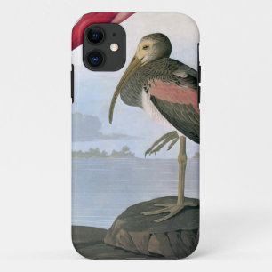 Audubon: Scarlet Ibis Case-Mate iPhone Case