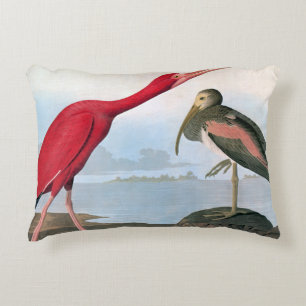 Audubon: Scarlet Ibis Decorative Cushion