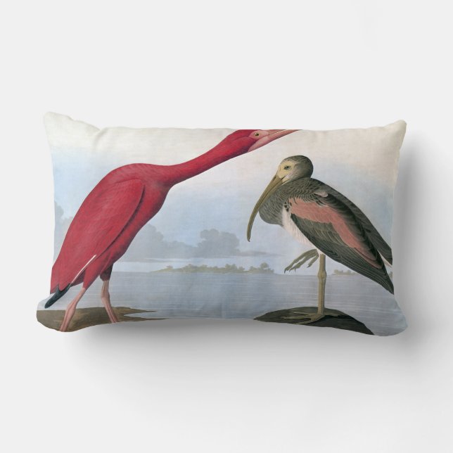 Audubon: Scarlet Ibis Lumbar Cushion (Front)