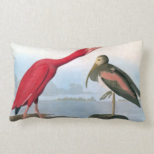 Audubon: Scarlet Ibis Lumbar Cushion