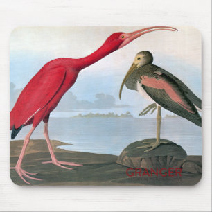 Audubon Scarlet Ibis Mouse Pad