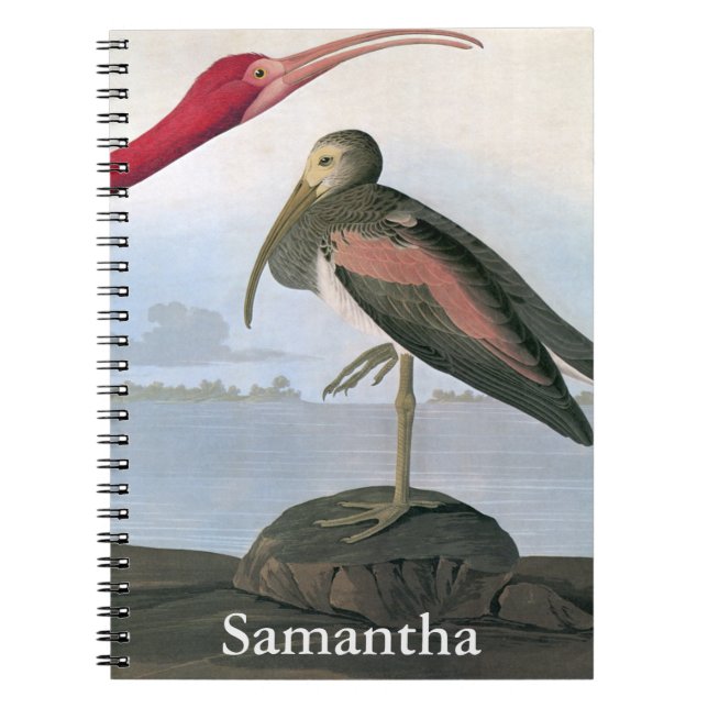 Audubon: Scarlet Ibis Notebook (Front)