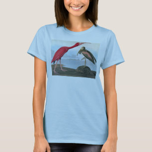 Audubon: Scarlet Ibis T-Shirt