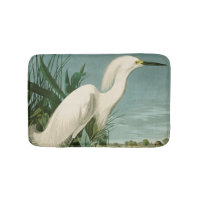 Audubon Snowy Heron White Egret Bird Birding