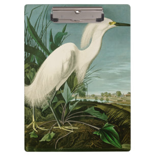 Audubon Snowy Heron White Egret Bird Birding Clipboard