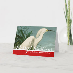 Audubon Snowy Heron White Egret Bird Birding Holiday Card