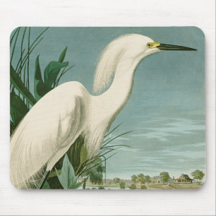 Audubon Snowy Heron White Egret Bird Birding Mouse Pad