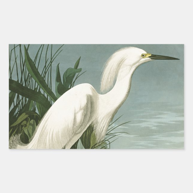 Audubon Snowy Heron White Egret Bird Birding Rectangular Sticker (Front)