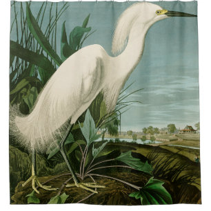 Audubon Snowy Heron White Egret Bird Birding Shower Curtain
