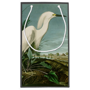 Audubon Snowy Heron White Egret Bird Birding Small Gift Bag