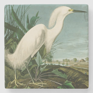Audubon Snowy Heron White Egret Bird Birding Stone Coaster