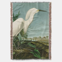 Audubon Snowy Heron White Egret Bird Birding