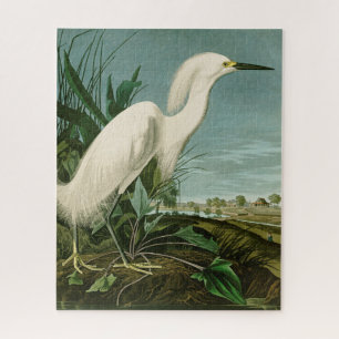 Audubon Snowy Heron White Egret Bird Jigsaw Puzzle