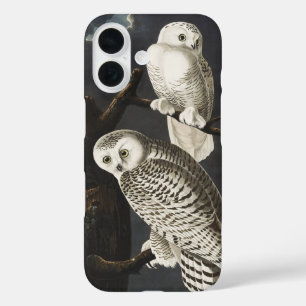 Audubon Snowy Owl Bird Artwork iPhone 16 Case