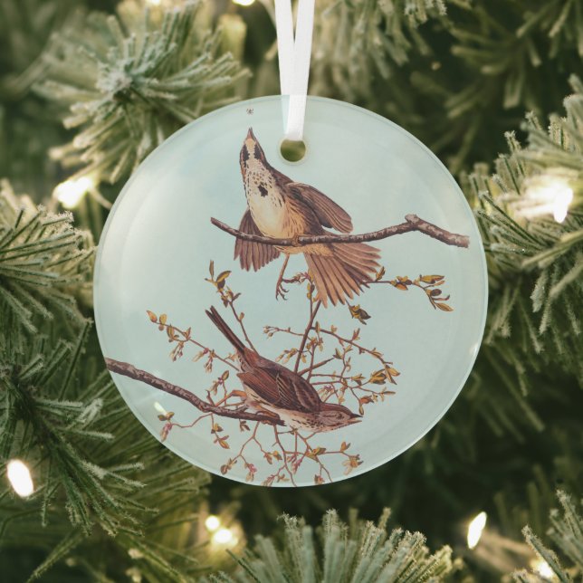 Audubon Song Sparrow with Tiny Spider Glass Tree Decoration (Insitu)