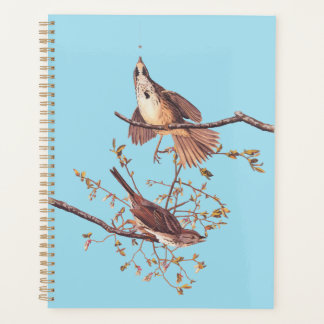 Audubon Song Sparrow with Tiny Spider Planner