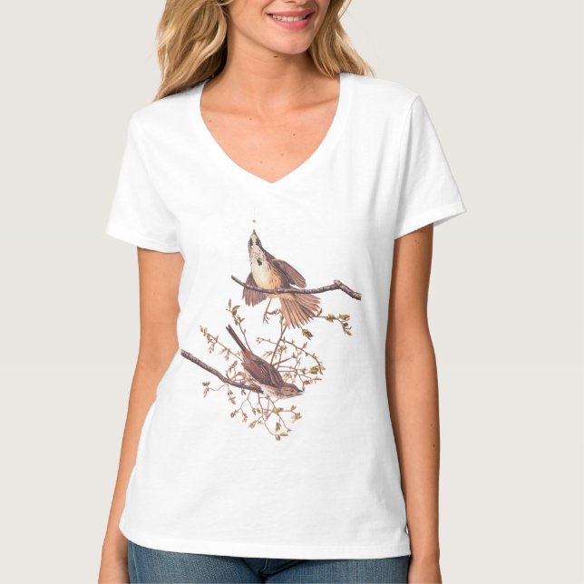 Audubon Song Sparrow with Tiny Spider T-Shirt (Front)