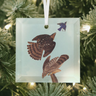 Audubon Stanley's Hawk Hunting a Blue Bird Glass Tree Decoration