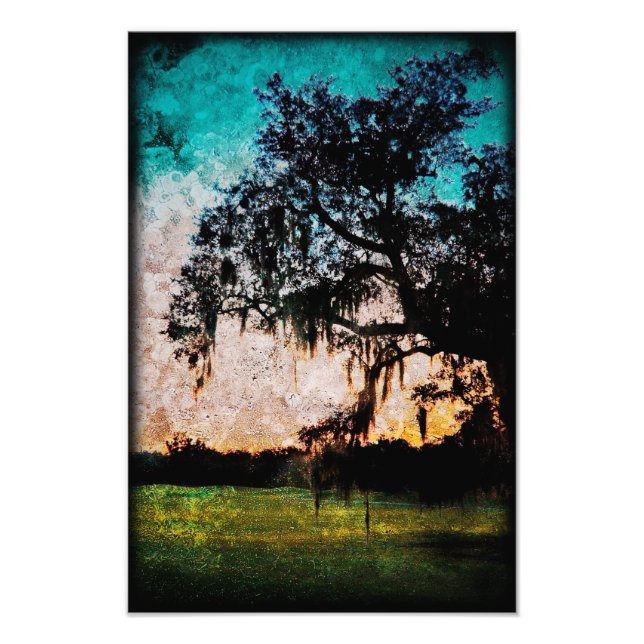 Audubon Sunset Textures Photo Print (Front)