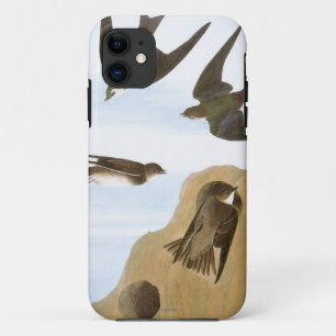 Audubon: Swallows Case-Mate iPhone Case