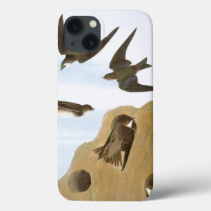 Audubon: Swallows iPhone 13 Case