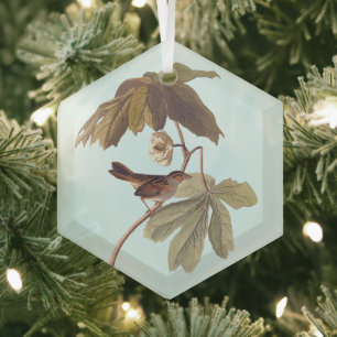 Audubon Swamp Sparrow Bird on Wild Mandrake Glass Tree Decoration