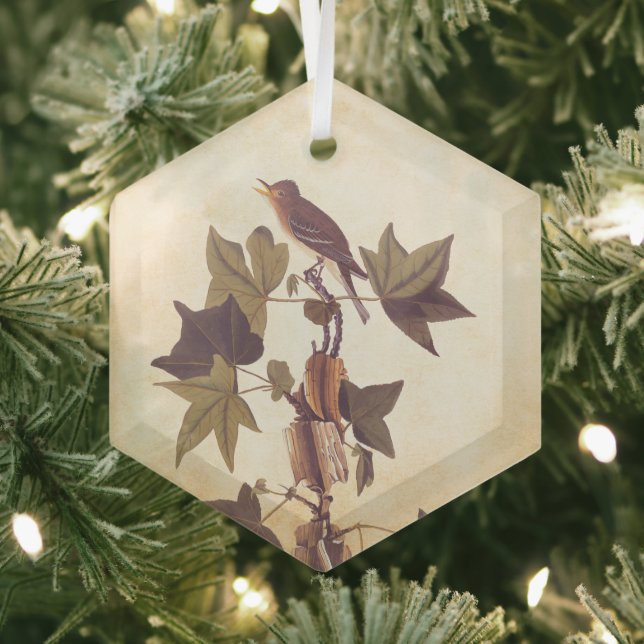Audubon Traill's Flycatcher Songbird Glass Tree Decoration (Insitu)