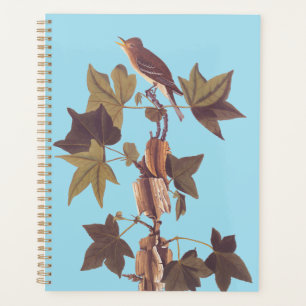 Audubon Traill's Flycatcher Songbird Planner