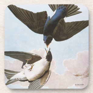 Audubon: Tree Swallow Coaster