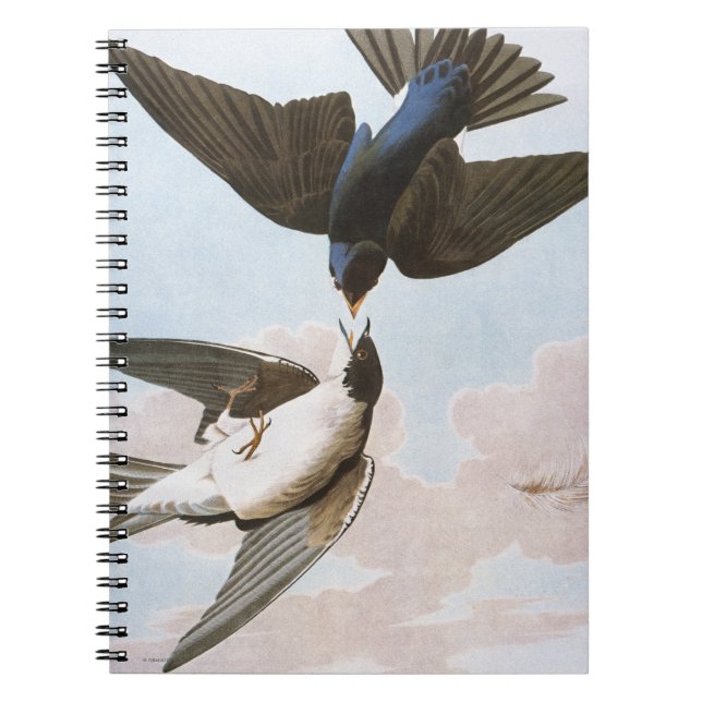 Audubon: Tree Swallow Spiral Notebook (Front)