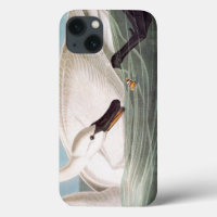 Audubon: Trumpeter Swan