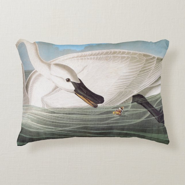 Audubon: Trumpeter Swan Decorative Cushion (Front)