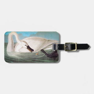 Audubon: Trumpeter Swan Luggage Tag
