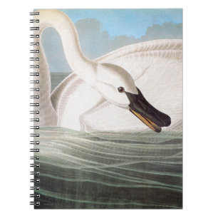 Audubon: Trumpeter Swan Spiral Notebook