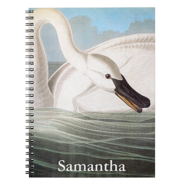 Audubon: Trumpeter Swan Spiral Notebook (Front)