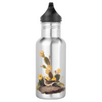Audubon Vesper Sparrow and Prickly Pear Cactus