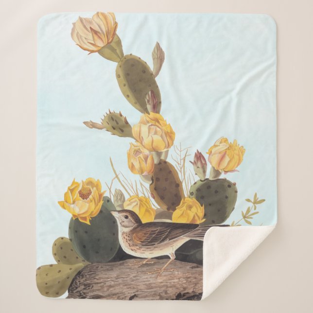 Audubon Vesper Sparrow and Prickly Pear Cactus Sherpa Blanket (Front)