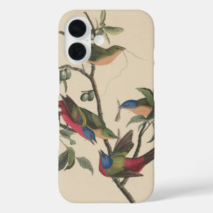 Audubon Vibrant Painted Bunting Wildlife Painting iPhone 16 Case