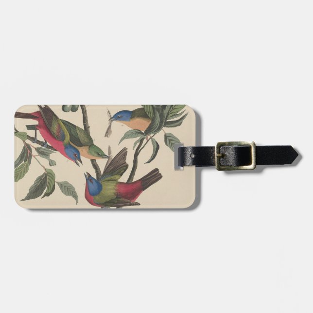 Audubon Vibrant Painted Bunting Wildlife Painting Luggage Tag (Front Horizontal)