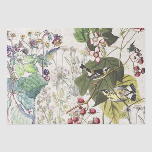 Audubon Warbler Bird Wildflowers Tissue Paper (Front)