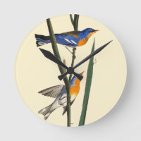 Audubon: Warbler