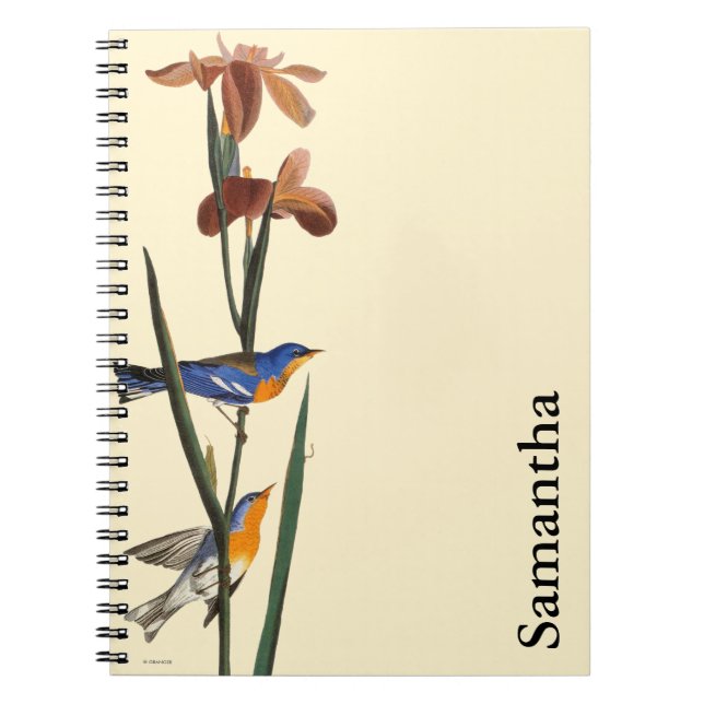 Audubon: Warbler Spiral Notebook (Front)