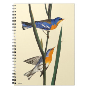 Audubon: Warbler Spiral Notebook