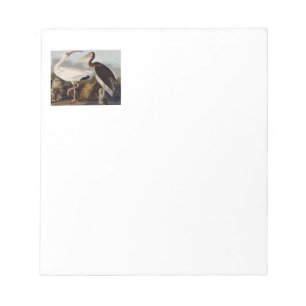 Audubon White Ibis Bird Wildlife Notepad