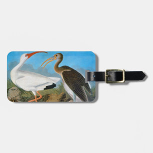 Audubon: White Ibis Luggage Tag