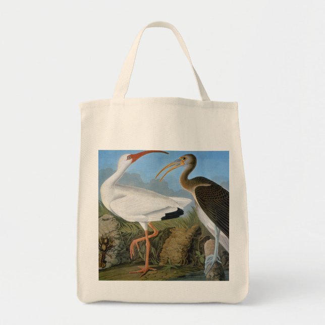 Audubon: White Ibis Tote Bag (Front)